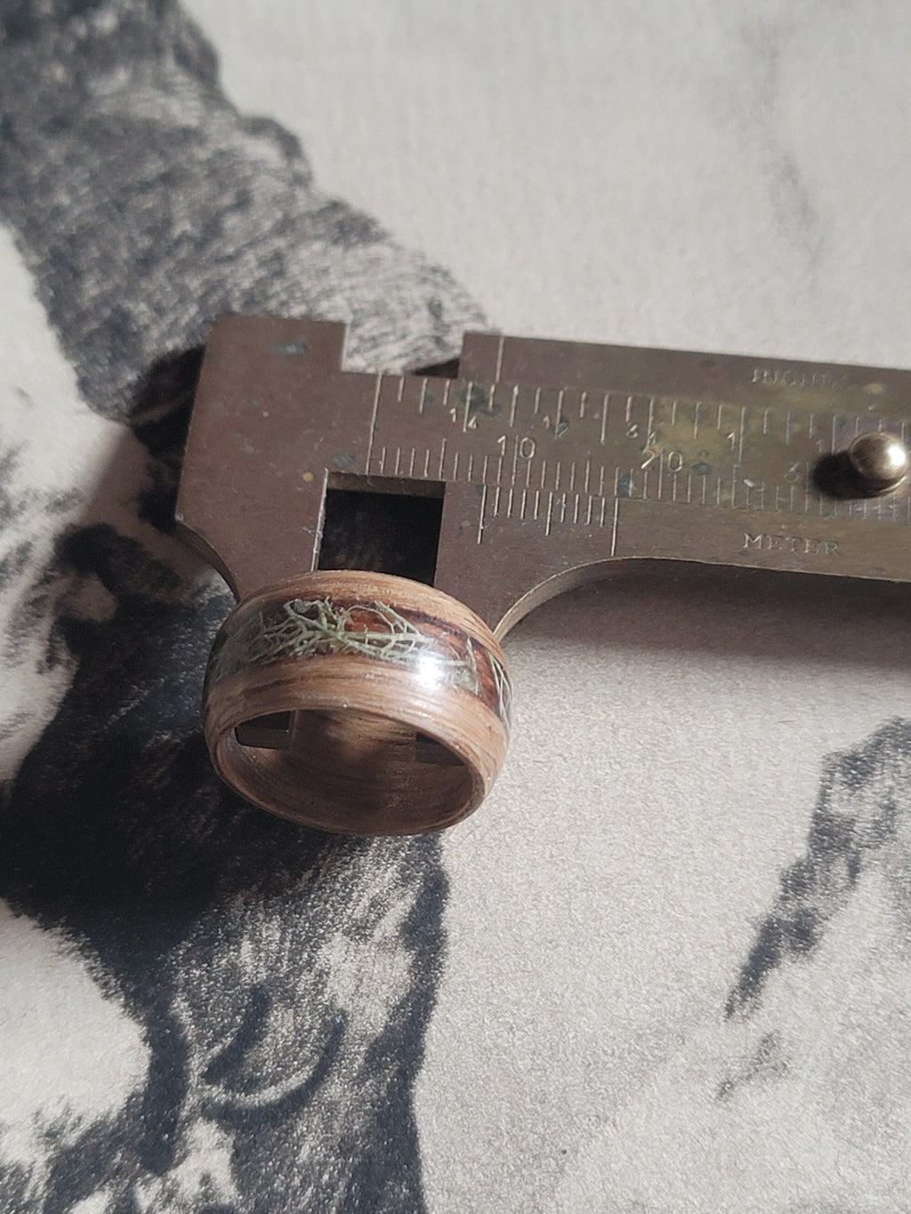 Oak Ring with an incased band of Lichen size 5