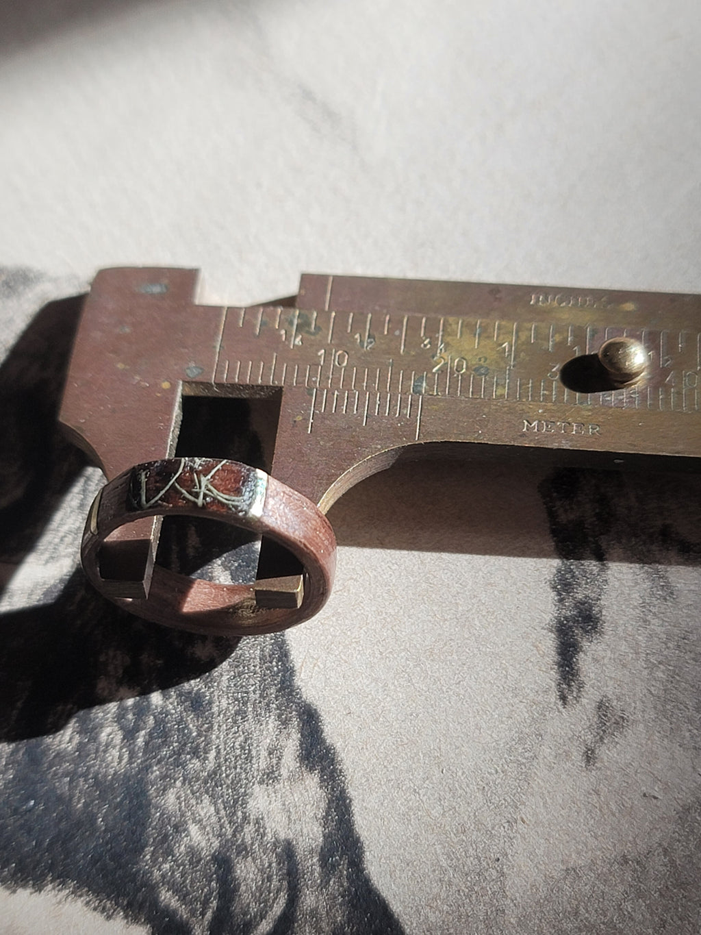 Walnut and Lichen Incased Ring with Brass Accents Size 6